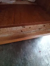 307 Pest, LLC photo 5