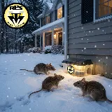 ROBBINS PEST SERVICES photo 8