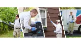 Modern Pest Services