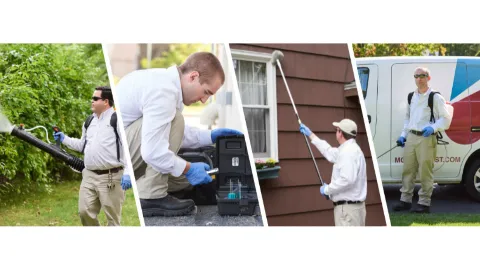 Modern Pest Services photo 1