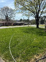 Moses Landscaping photo 8