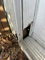 Quality Affordable Pest Control Toronto photo 4