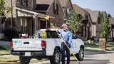 Romex Pest & Termite Control Tyler