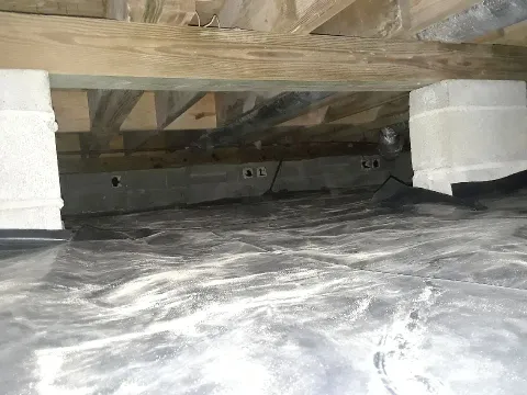 Global Pest Services, LLC photo 1
