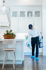 Moxie Pest Control photo 7