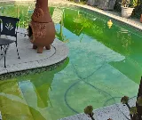 Puck Pool Service photo 7