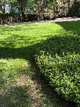 Potomac Lawn Professionals photo 5