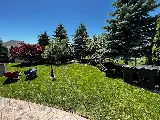 D&T Lawn Maintenance LLC - Toledo