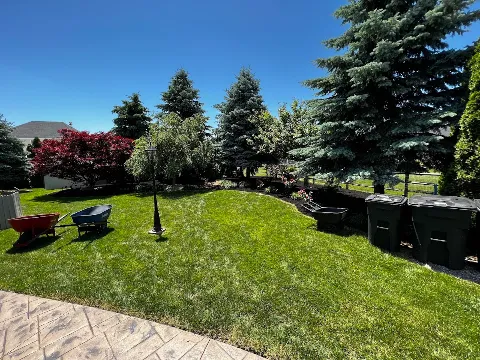 D&T Lawn Maintenance LLC - Toledo in Toledo