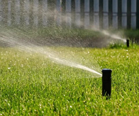 Lawn Care Solutions photo 1