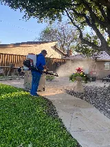 Bug Guys Pest Control photo 2
