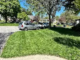 Two Men Landscaping photo 7