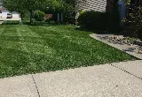 Louies Lawn Service LLC photo 8