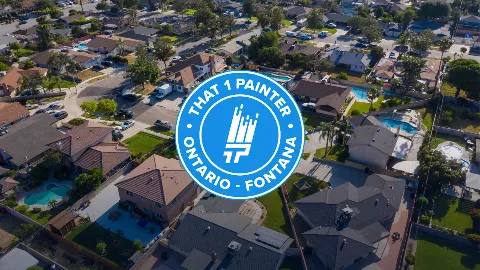 That 1 Painter Ontario - Fontana photo 1