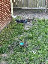 Accel Pest & Termite Control photo 6