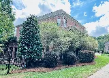 The Pine Needle Man photo 8