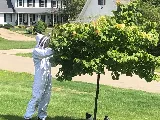 Antix Pest & Termite Control photo 3