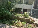 United landscaping cleaning management services photo 7