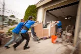 Paradise Moving & Storage photo 6