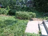 LawnStarter Landscaping photo 6