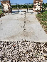 Eco-Safe Pest Control photo 9