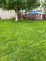 Yardigans AK photo 2