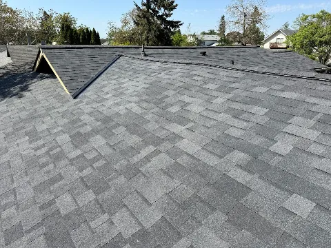 Tonys Roofing photo 1