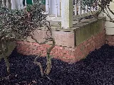 Nelson Masonry, Inc.