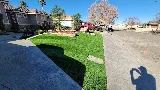 Designer's Touch Landscape Contractors Inc. photo 5