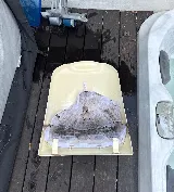 White Sands Spa Repair photo 5