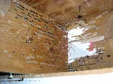 BugsBeGone Pest Services photo 2