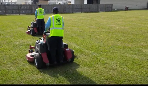 U.S. Lawns - New Orleans photo 1