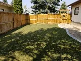 Ground Up Bobcat & Landscaping photo 8