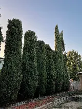 Legacy Lawn Care & Landscaping photo 8
