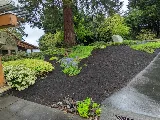 Pacific Landscaping, Inc. photo 2