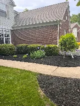 Premier Landscaping