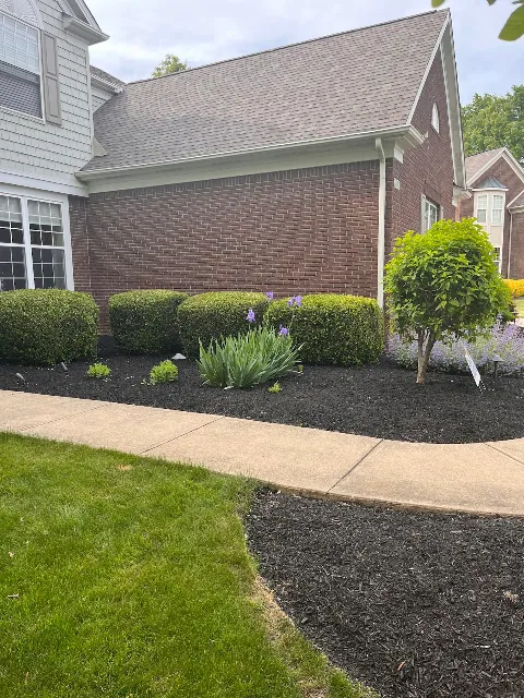 Premier Landscaping photo 1