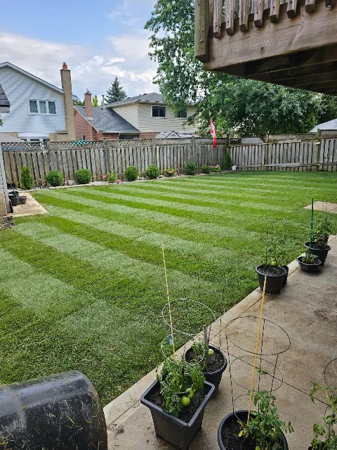 Beecroft & Sons Landscaping photo 1