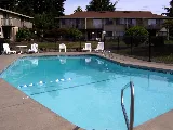Todd's Pool Service photo 8