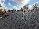 Real Blue Roofing Services Inc