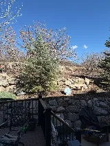 All Purpose Landscaping photo 2