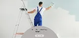 Mister Paint photo 3