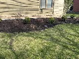 Ramos & Sons Landscaping photo 4