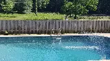 Splash Pools, Inc photo 5
