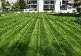Alljobs Landscaping photo 3