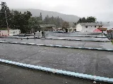 Erickson Roofing