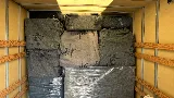 Champion Movers