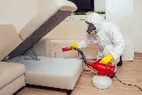 Wow Pest Control