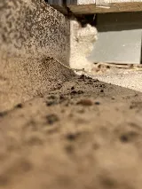 Safe Pro Pest Control photo 2