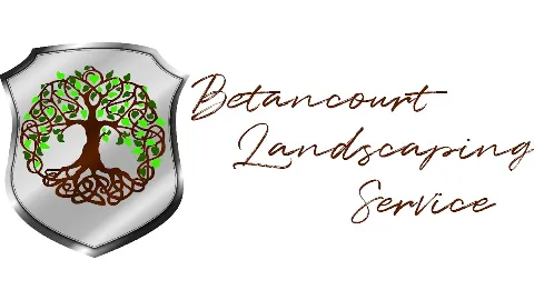 Betancourt Landscaping Service LLC photo 1